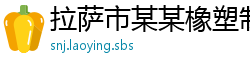拉萨市某某橡塑制品厂
